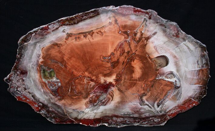 Brilliant Red Petrified Wood Tabletop - x #90376